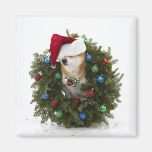 Shiba Inu hund som in ha på sig Santa hattsitta Magnet