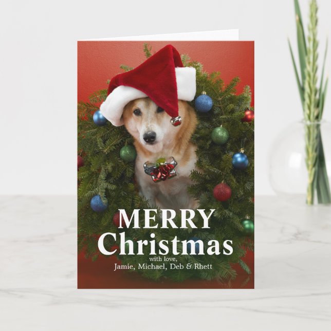 Shiba Inu hundsitta i julkran Helgkort (Framsida)