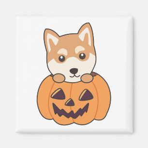 Shiba Inu i Pumpkin Sweet Hundar Happy halloween M Magnet