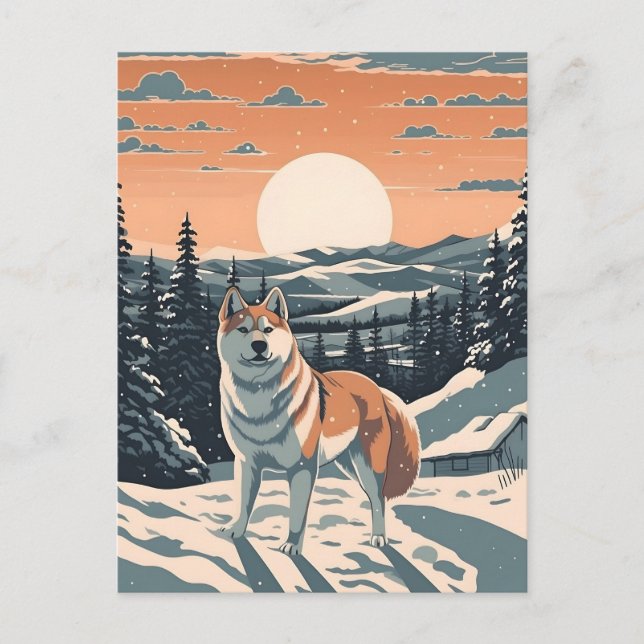 Shiba Inu i snöbergen under solnedgången Vykort (Framsida)
