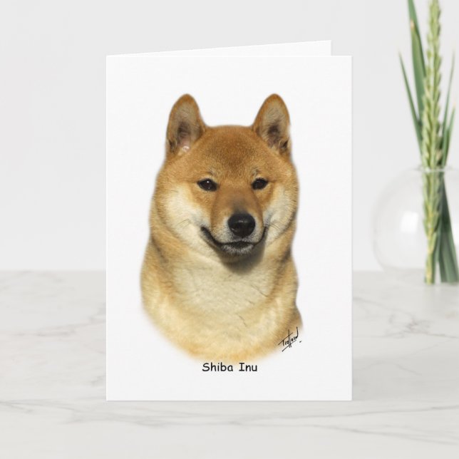Shiba Inu Kort (Framsida)