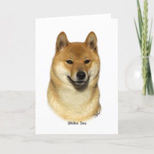 Shiba Inu Kort