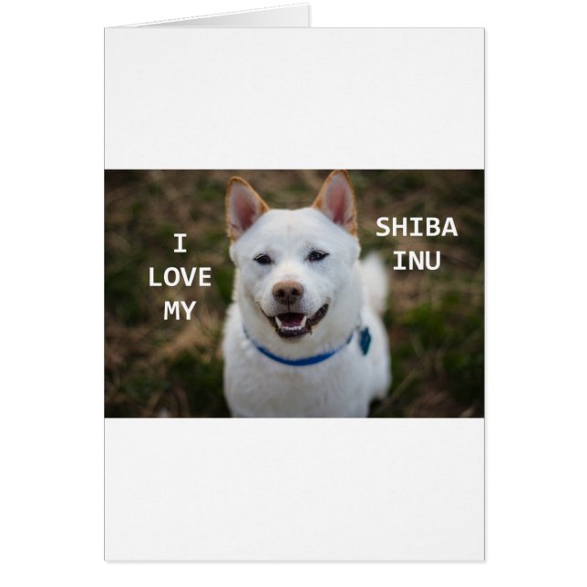 shiba-inu-kräm kärlek w pic hälsningskort (Framsidan)