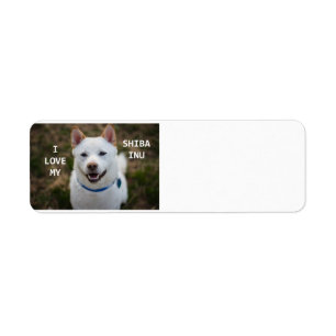 shiba-inu-kräm kärlek w pic returadress etikett