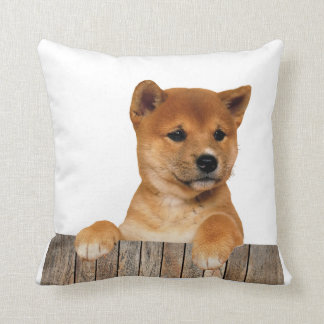 Shiba Inu Kudde
