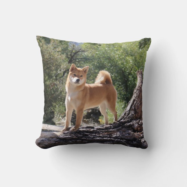 Shiba Inu Kudde (Framsida)