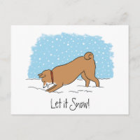Shiba Inu låt det snöa - lycklig hundhelgdag