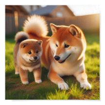 Shiba Inu mamma och hennes marionett