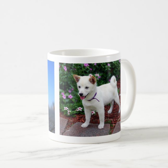 Shiba-inu Maru Kaffemugg (Framsida höger)