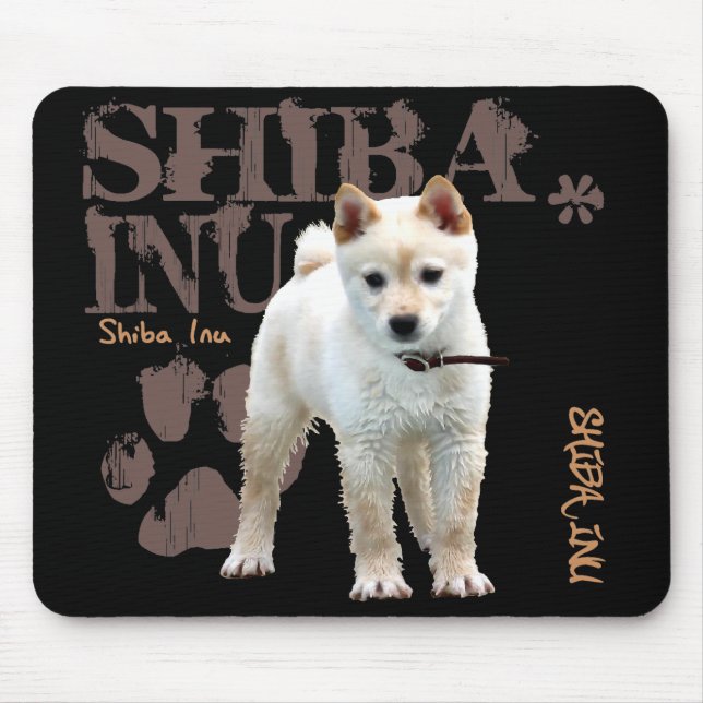 Shiba Inu Musmatta (Framsidan)
