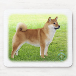 Shiba Inu Musmatta