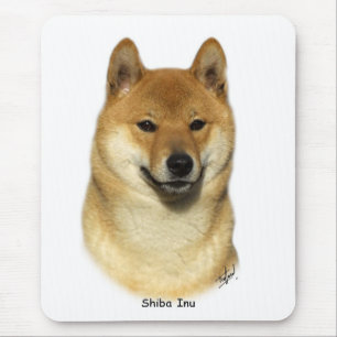 Shiba Inu Musmatta