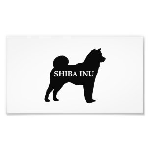 Shiba Inu namn silo black Fototryck