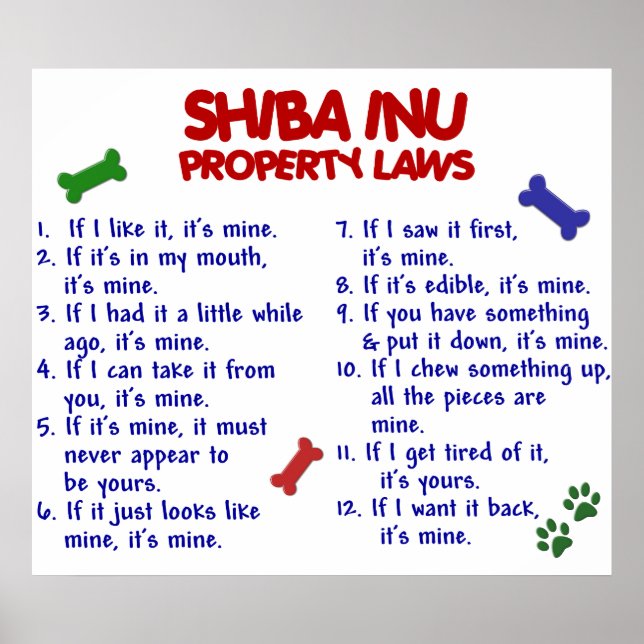 SHIBA INU PL2 POSTER (Framsidan)