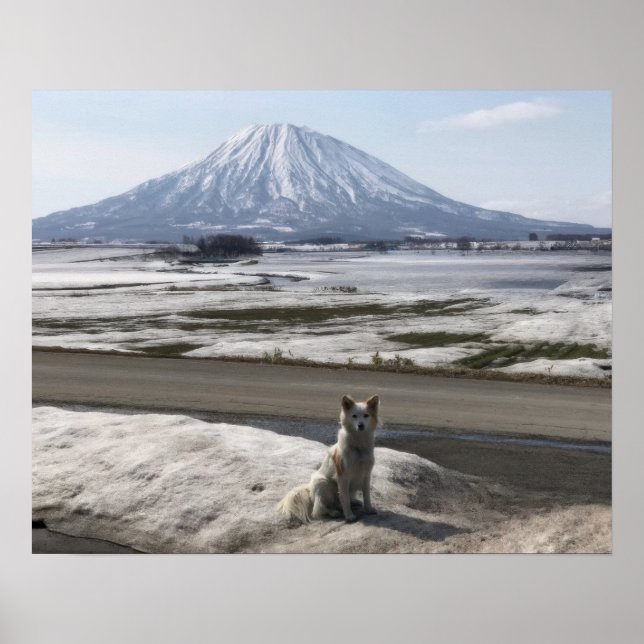 Shiba Inu Poster (Framsidan)