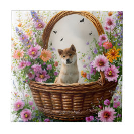 Shiba Inu Puppy Kakelplatta