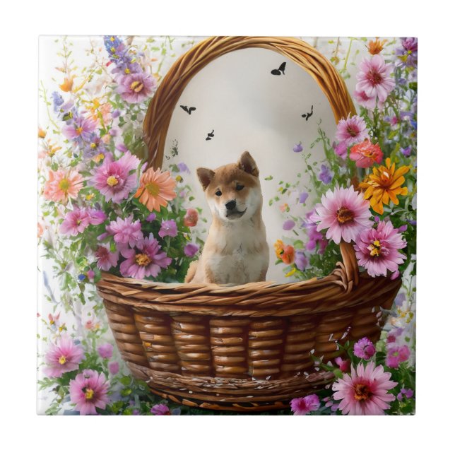 Shiba Inu Puppy Kakelplatta (Framsidan)