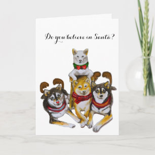 Shiba Inu Sisters Kikko Sasha Momo Hina Helgkort