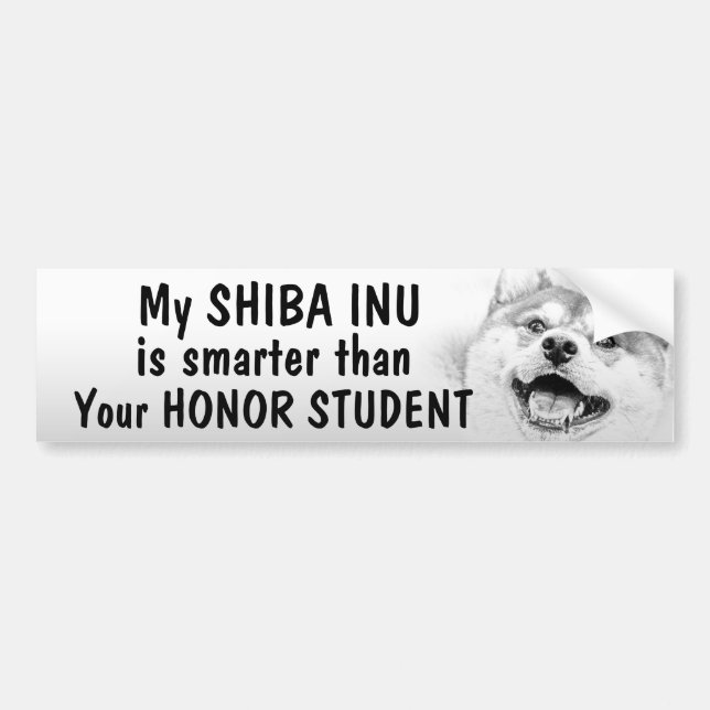 Shiba Inu - som är mer smart än hederstudent - som Bildekal (Framsidan)