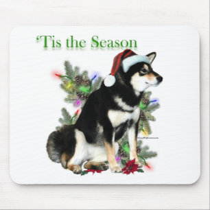 Shiba Inu "Tis Musmatta