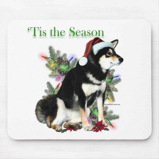 Shiba Inu "Tis Musmatta (Framsidan)
