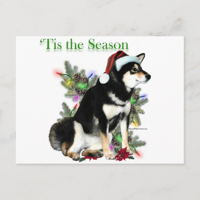Shiba Inu "Tis Vykort (Framsida)