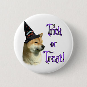 Shiba Inu Trick Knapp