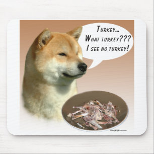 Shiba Inu Turkiet Musmatta