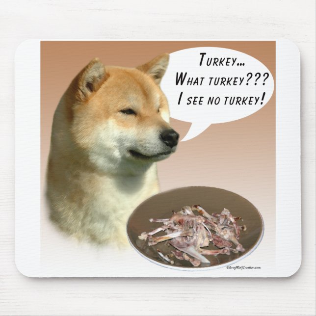 Shiba Inu Turkiet Musmatta (Framsidan)