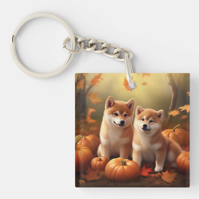 Shiba Inu Valp Höstglädje Pumpa (Framsidan)