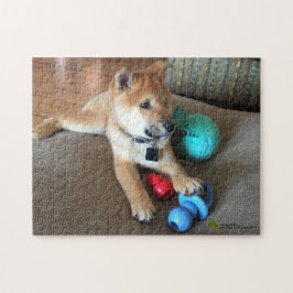 Shiba Inu-valp med färgfoto av Leksaker Pussel