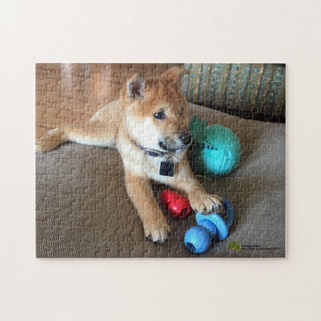 Shiba Inu-valp med färgfoto av Leksaker Pussel (Horisontell)
