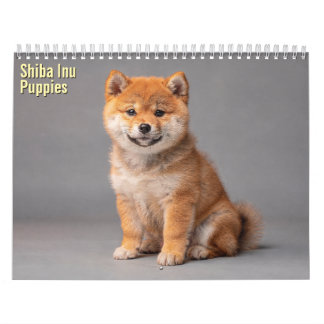 Shiba Inu Valpar 2027 Kalender