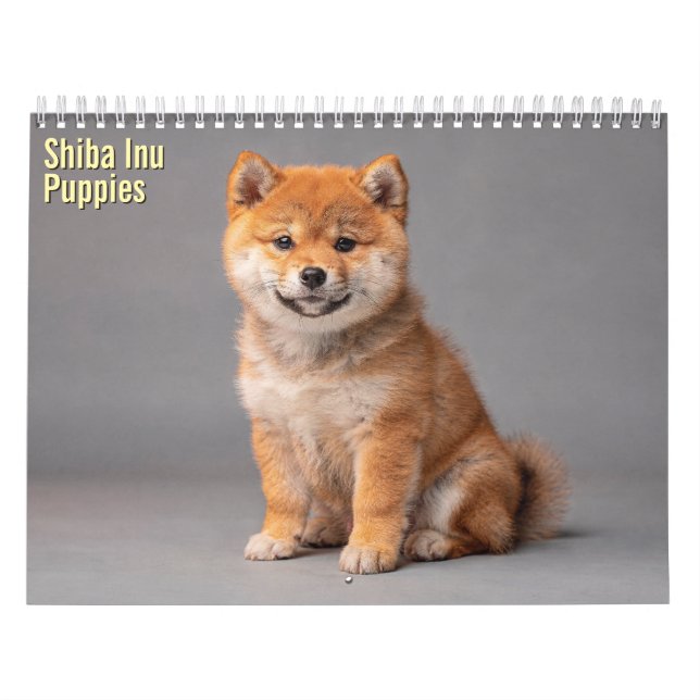 Shiba Inu Valpar 2027 Kalender (Omslag)