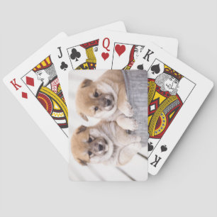 Shiba Inu valpar i aluminium badar Spel Kort
