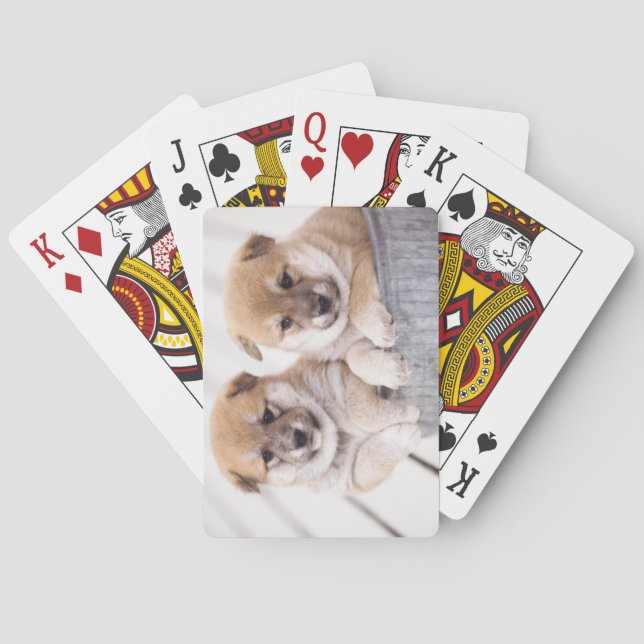 Shiba Inu valpar i aluminium badar Spel Kort (Baksidan)