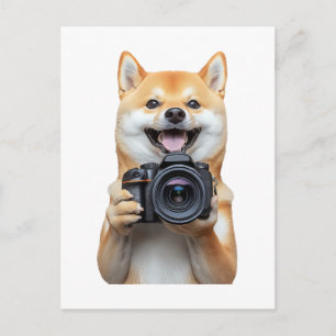 Shiba Inu Vykort