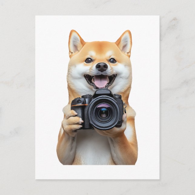 Shiba Inu     Vykort (Framsida)