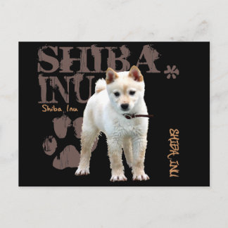 Shiba Inu Vykort