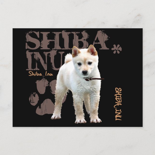 Shiba Inu Vykort (Framsida)