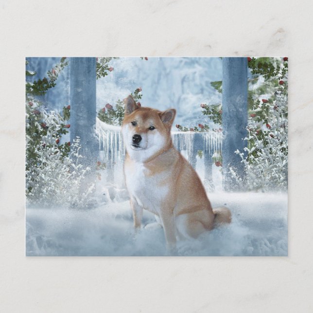 Shiba Inu Winter-vykort Vykort (Framsida)