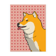 Shiba Kärlek Rosa