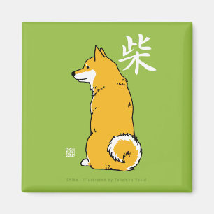 Shiba kvadrerar magneten magnet