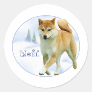 Shiba Noel - klistermärke