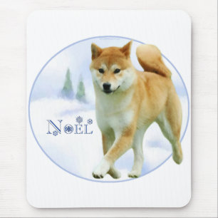 Shiba Noel Musmatta