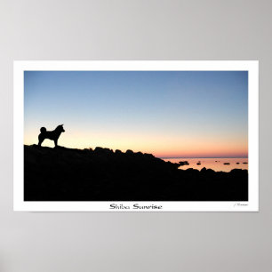 Shiba soluppgång poster
