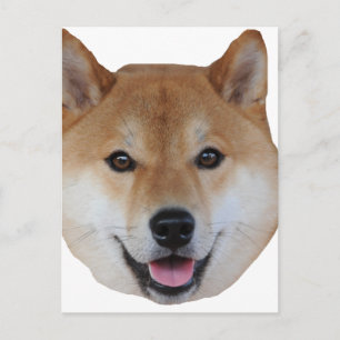 shibe.png vykort