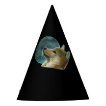 Shibu Inu Hund Tittar vid Måne