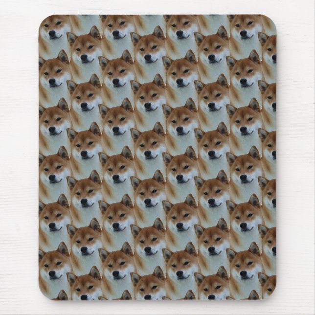Shibu Inu  Musmatta (Framsidan)