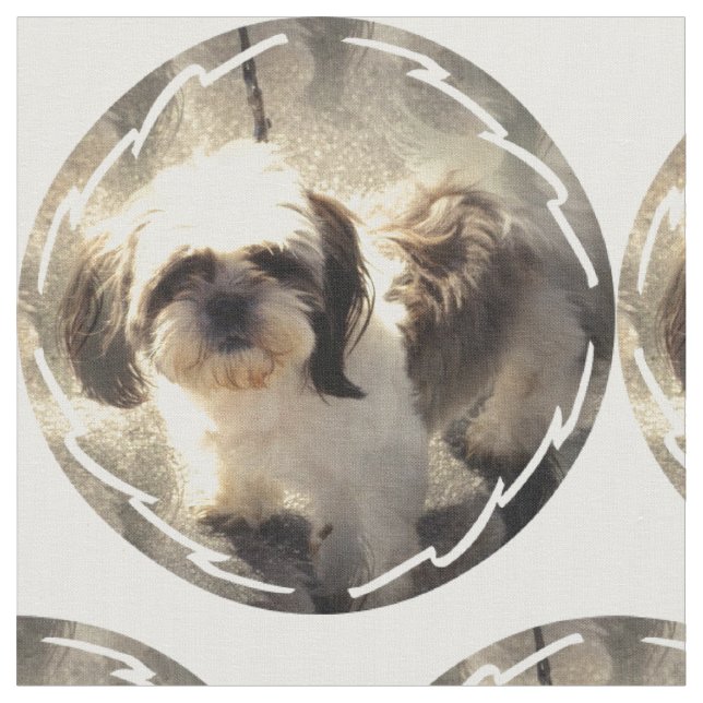 shih-tsu-2 tyg (Närbild)